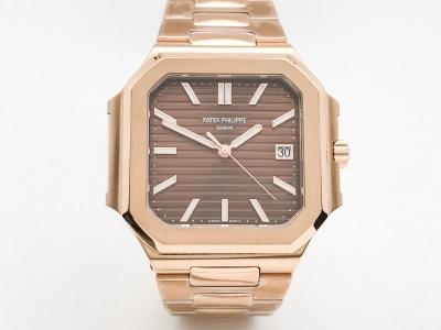 PP0528 watch cover