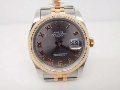 RDJ0273C watch cover
