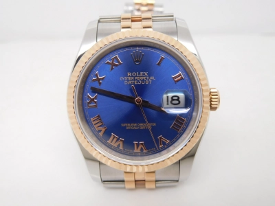 RDJ0273D watch cover