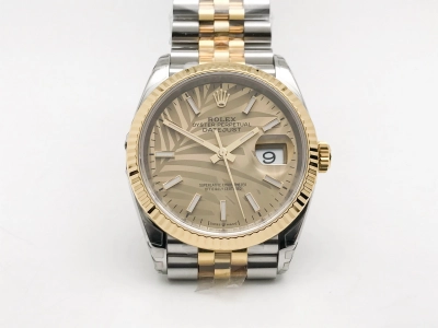 RDJ0466 watch cover