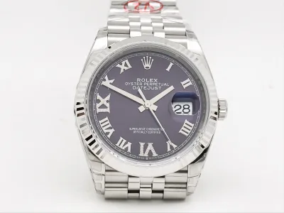 RDJ0486 watch cover