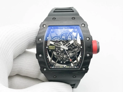 RM0231B watch cover