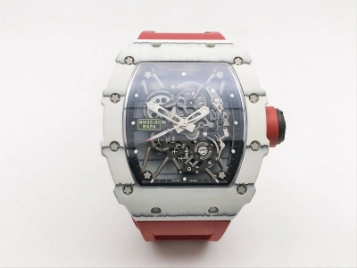 RM0255B watch cover