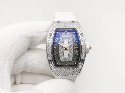 RM0289A watch cover
