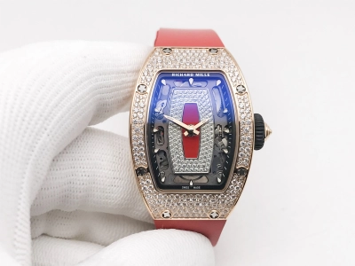 RM0290C watch cover