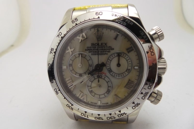 ROLDYT0034- watch cover