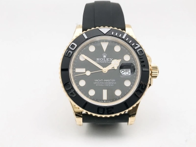 ROLYM263 watch cover