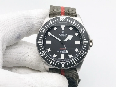 TUD101B watch cover