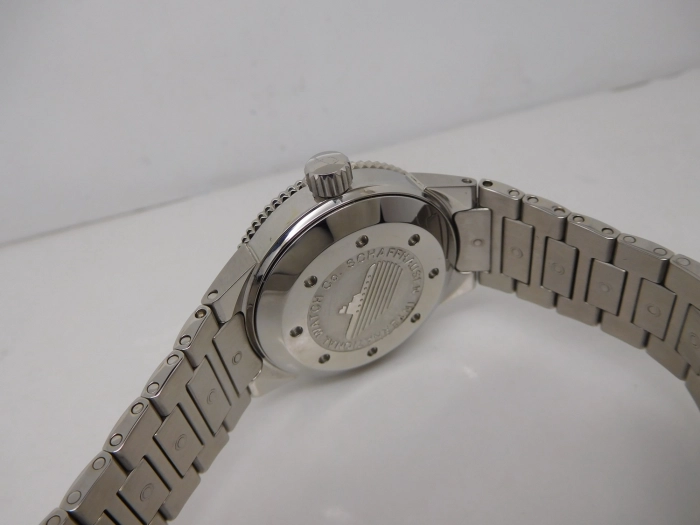DSCN9237.JPG
