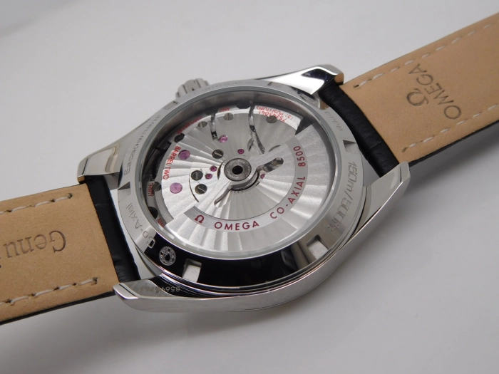 DSCN8637.JPG
