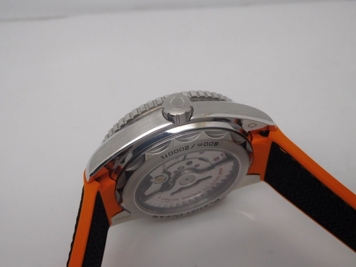 DSCN9497.JPG