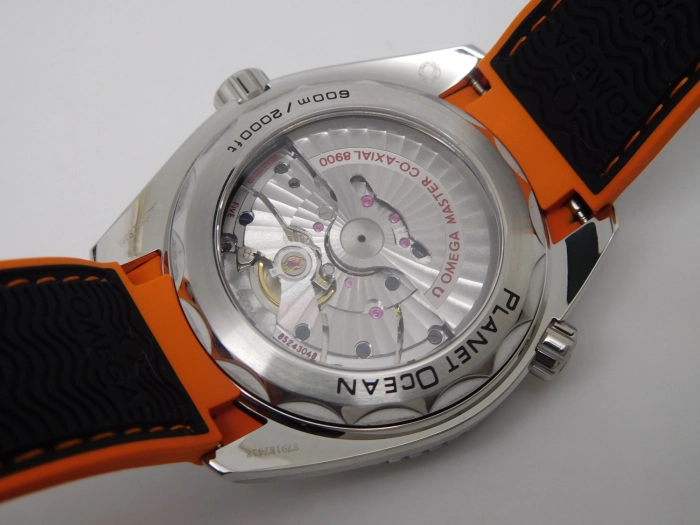 DSCN9498.JPG